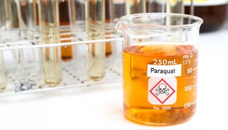 Paraquat chemical
